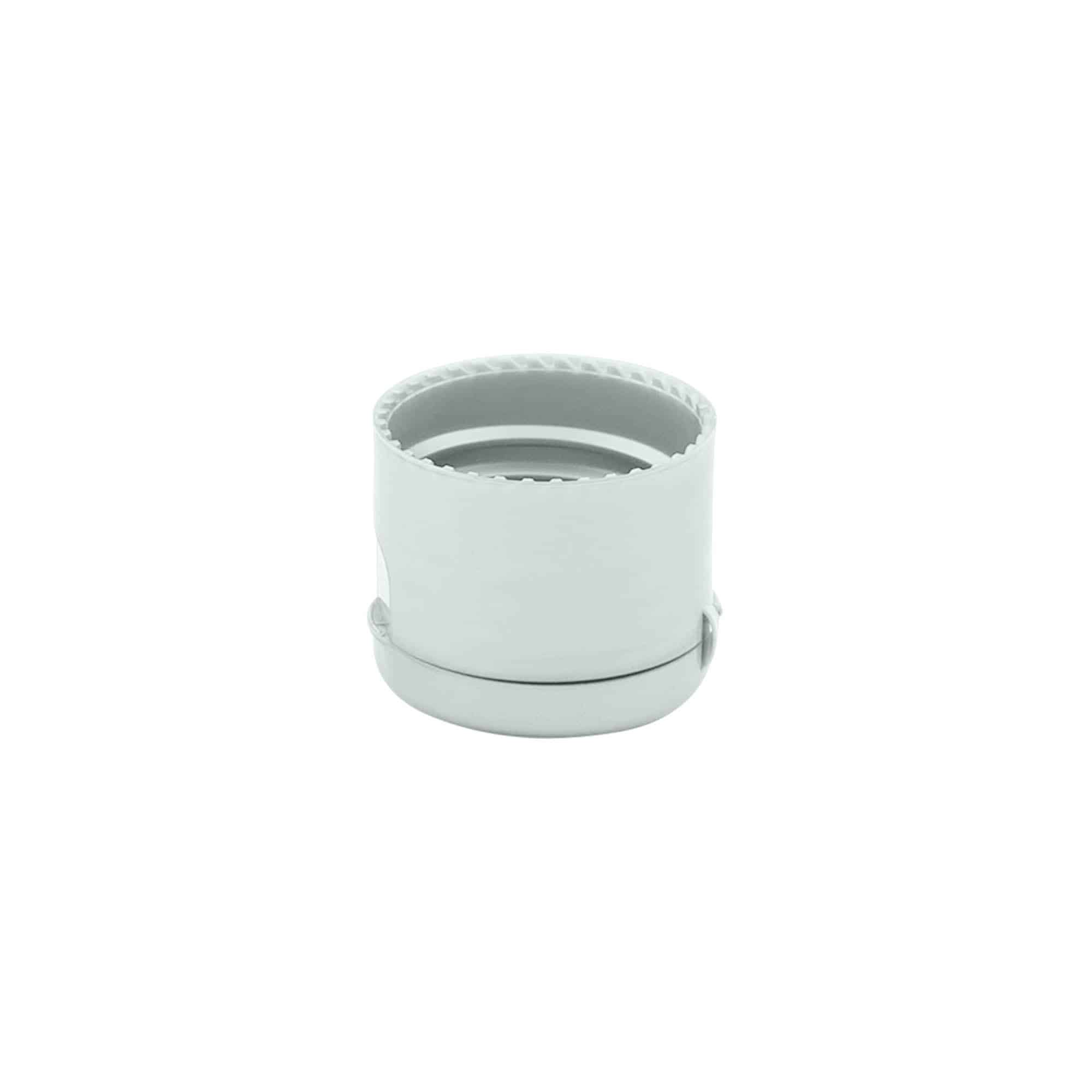 Schroefsluiting klapscharnier, PP-kunststof, zilver, voor monding: 24/410 Schroefsluiting klapscharnier, PP-kunststof, zilver, voor monding: 24/410