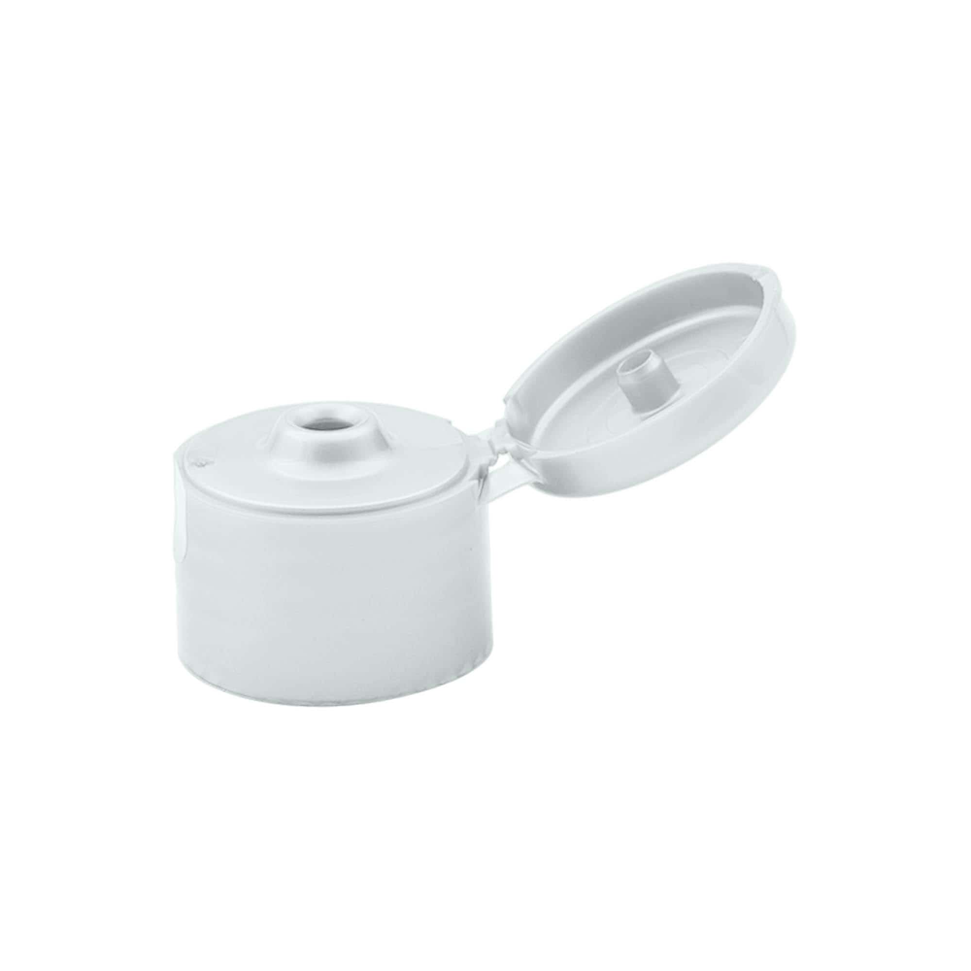Schroefsluiting klapscharnier, PP-kunststof, zilver, voor monding: 24/410