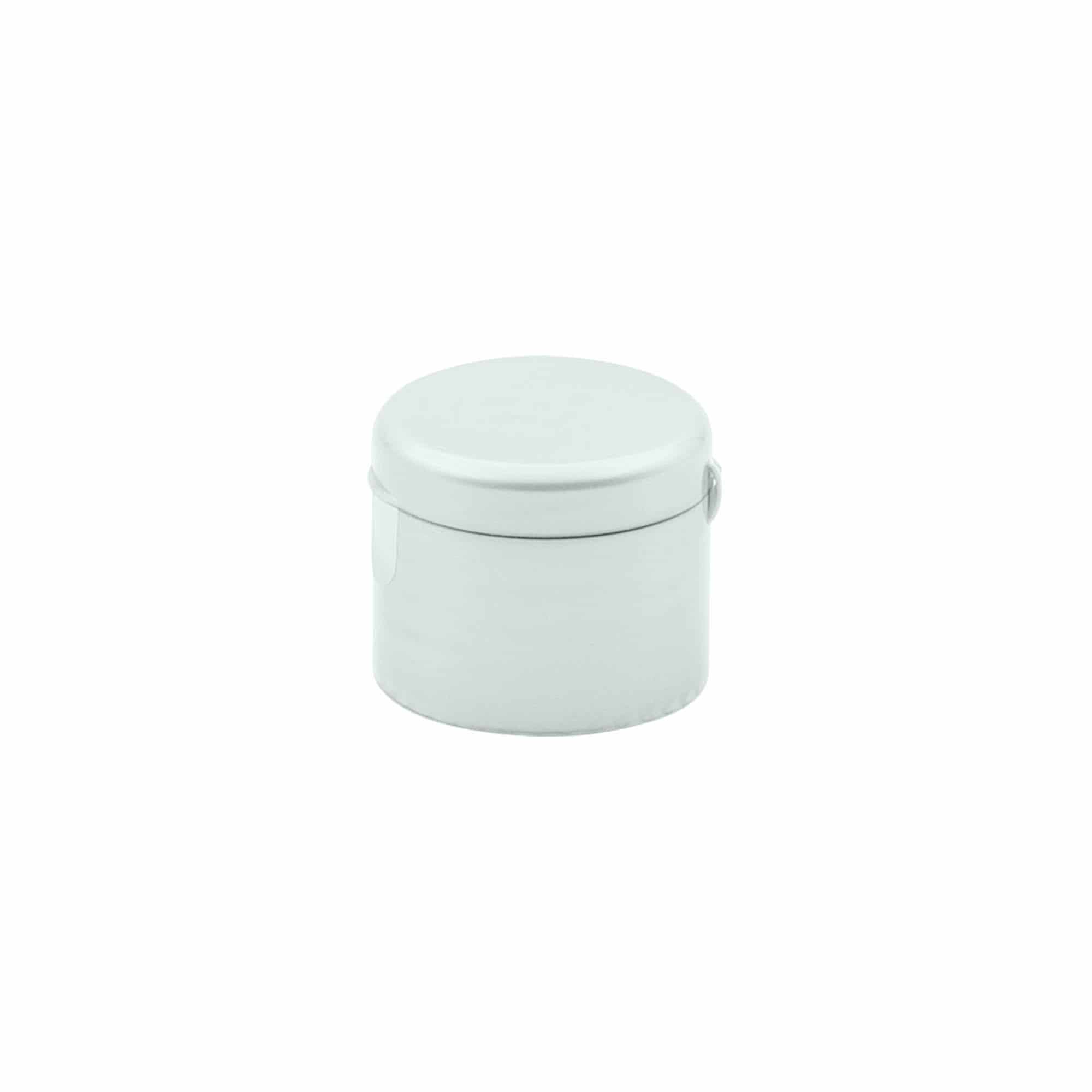 Bougage à vis à charnière rabattable, plastique PP, argenté, pour bouchage: 24/410
