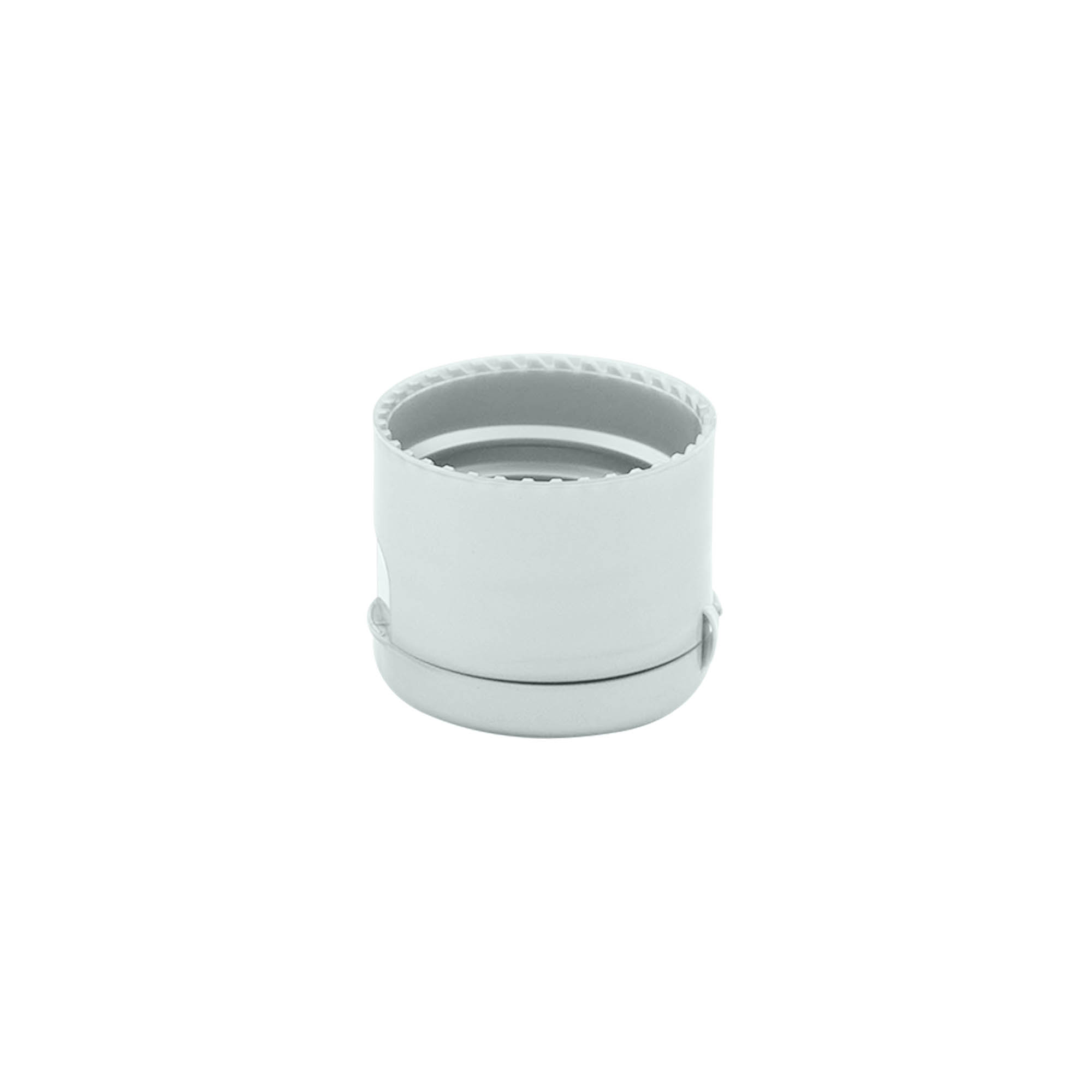 Schroefsluiting klapscharnier, PP-kunststof, zilver, voor monding: 24/410